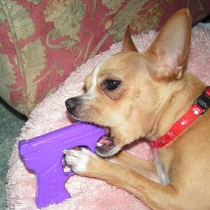 Meet your Posher, Lilith